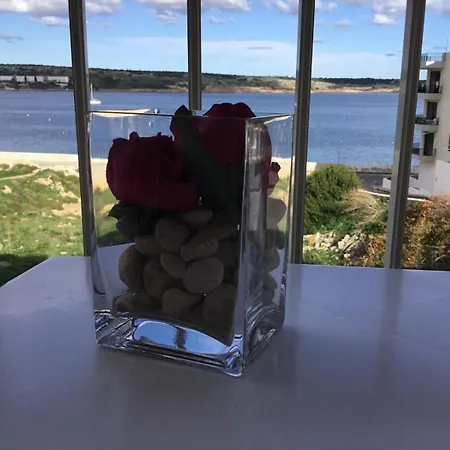 Seaview Haven Ocean View 아파트 *